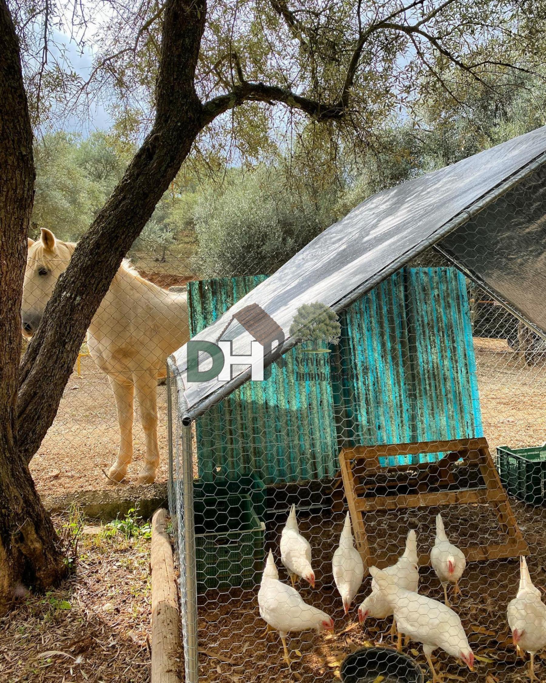 For sale of villa in Constantina