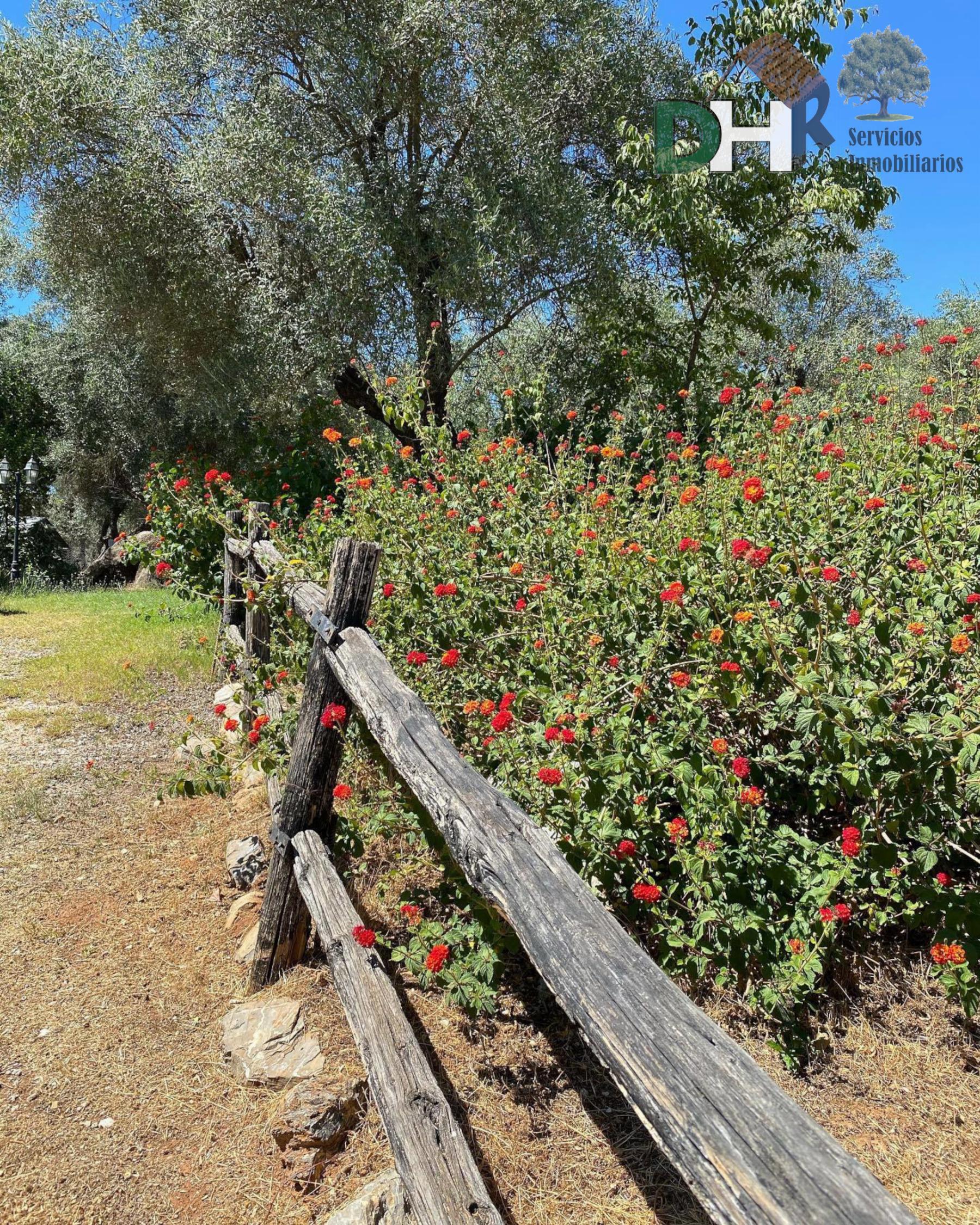 For sale of villa in Constantina