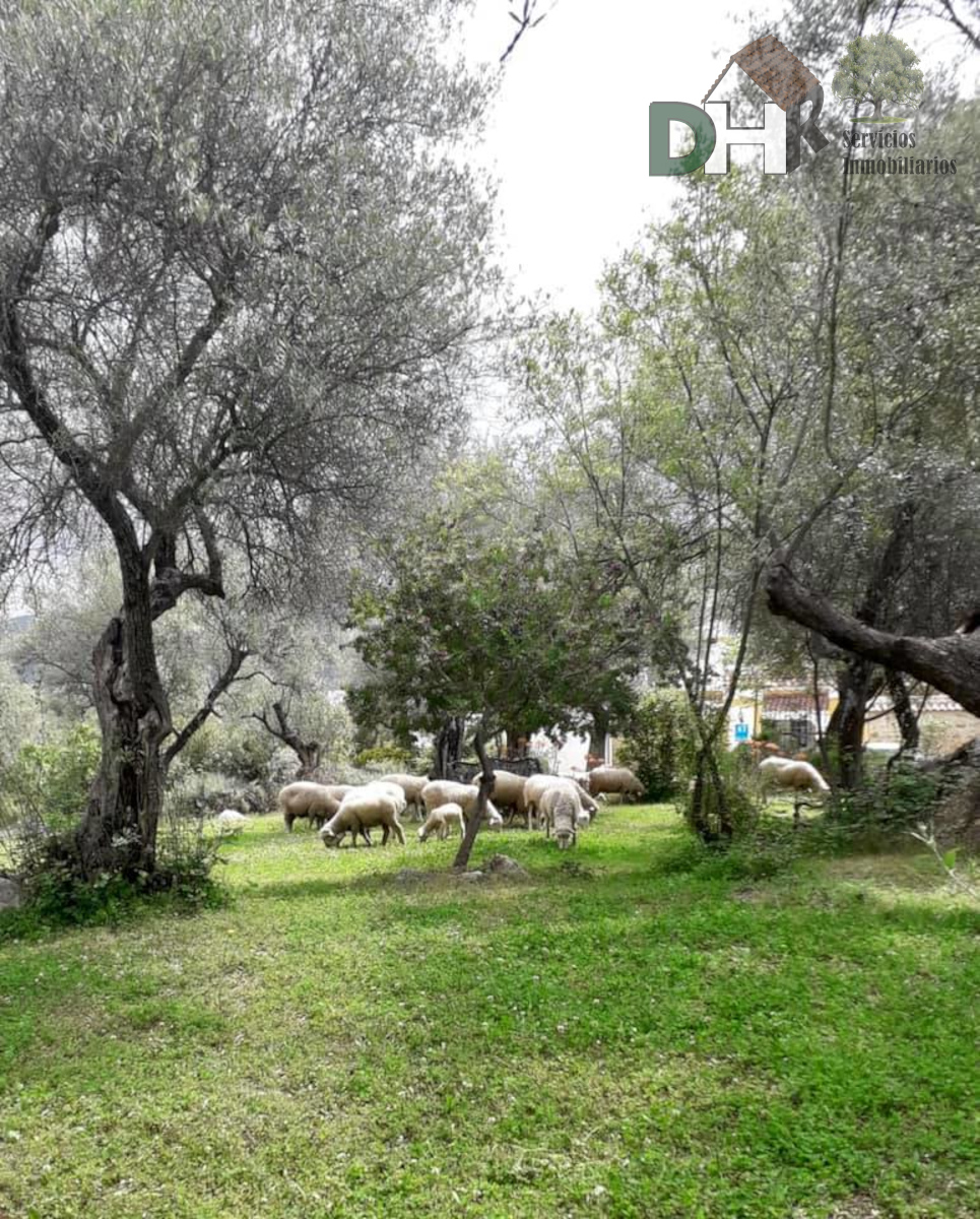 For sale of villa in Constantina