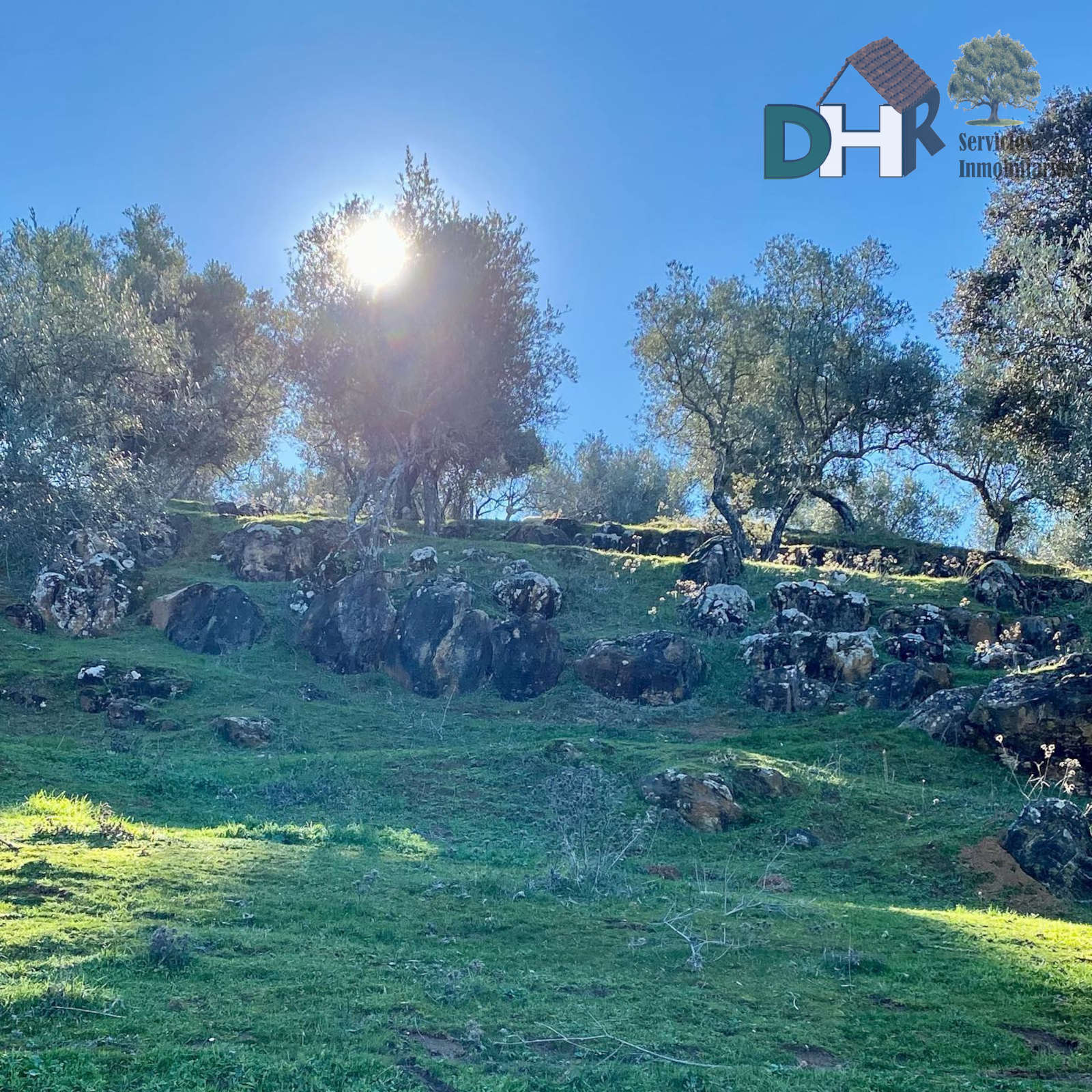 For sale of villa in Constantina