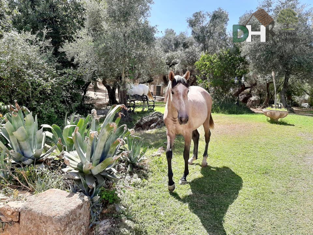 For sale of villa in Constantina