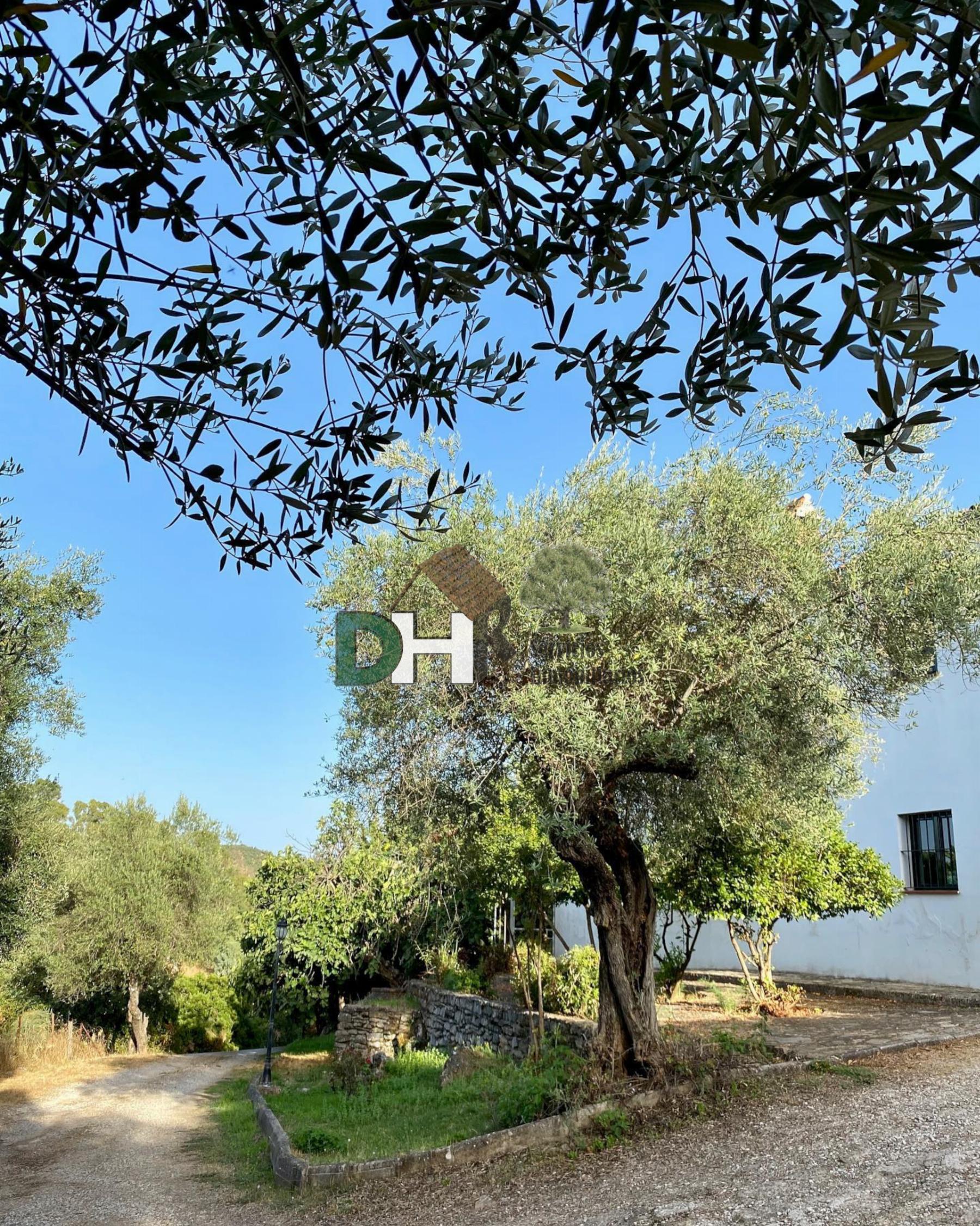 For sale of villa in Constantina