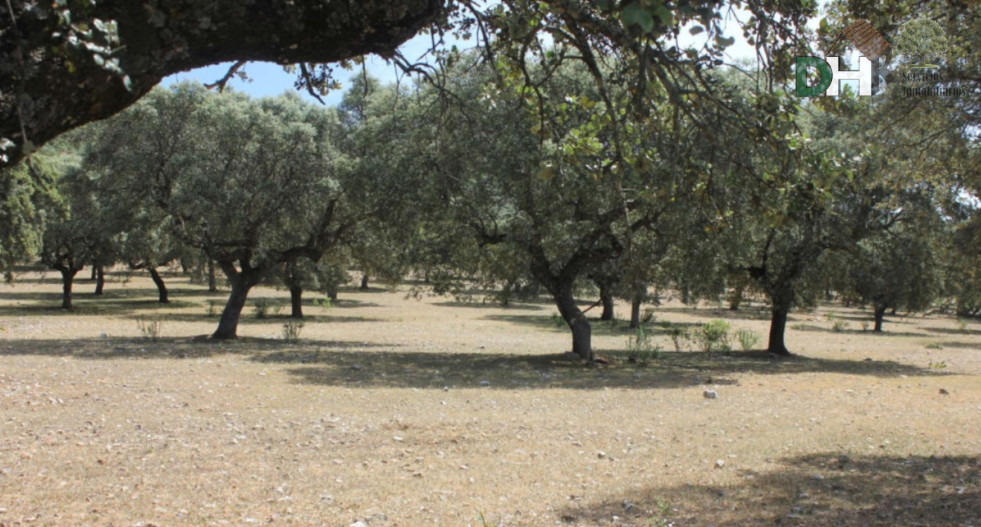 For sale of land in Cáceres