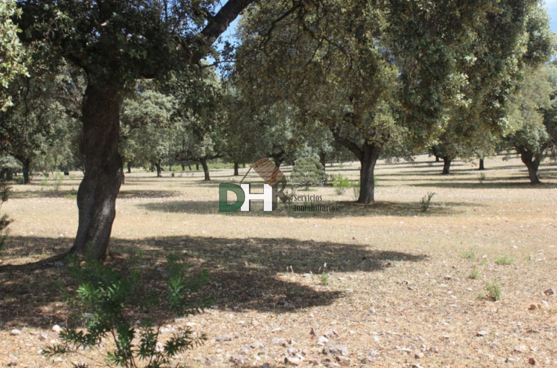 For sale of land in Cáceres