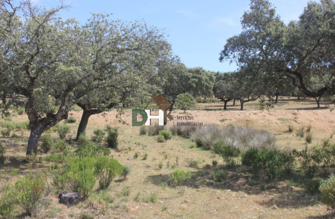 For sale of land in Cáceres