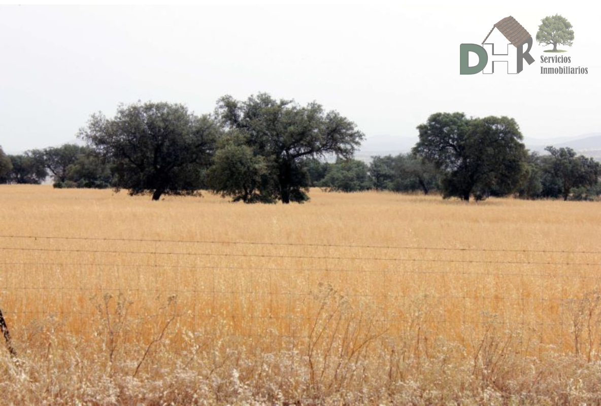 Venta de terreno en Badajoz