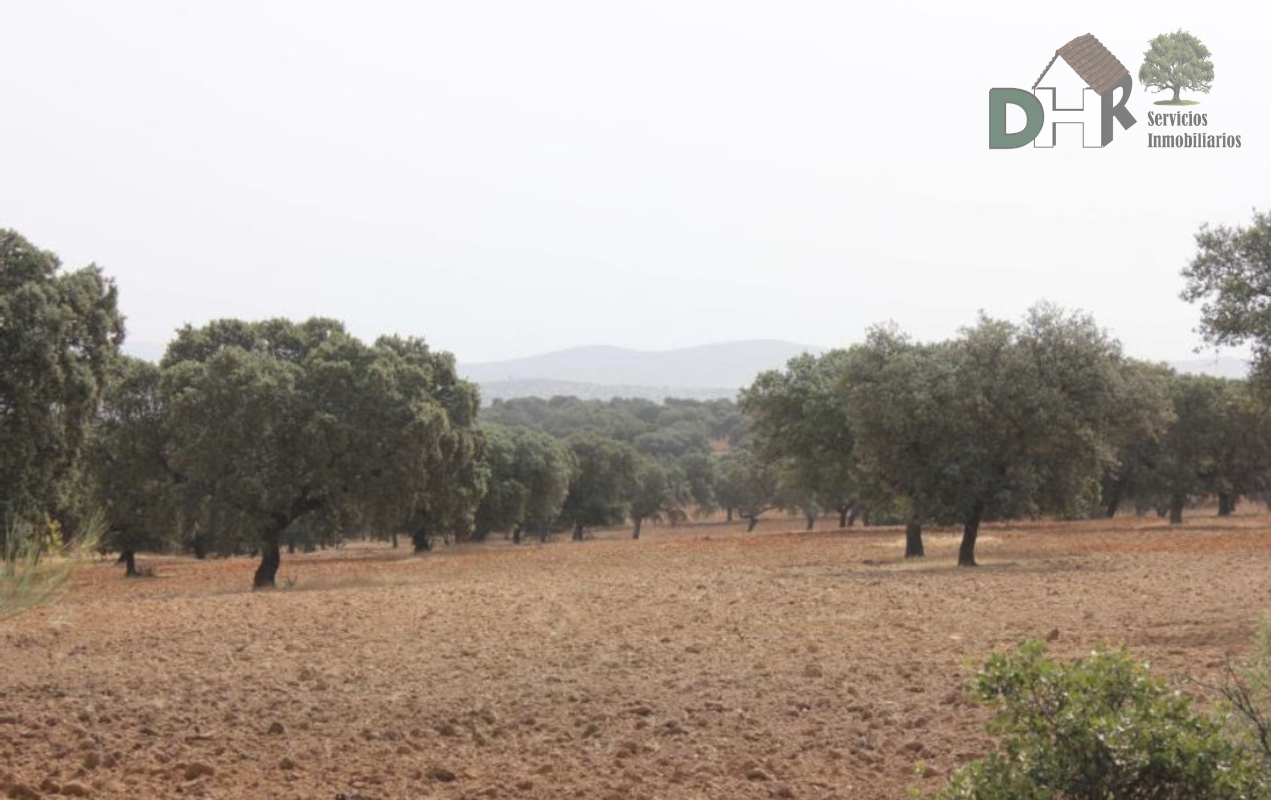 Venta de terreno en Badajoz