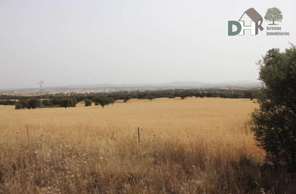 Venta de terreno en Badajoz