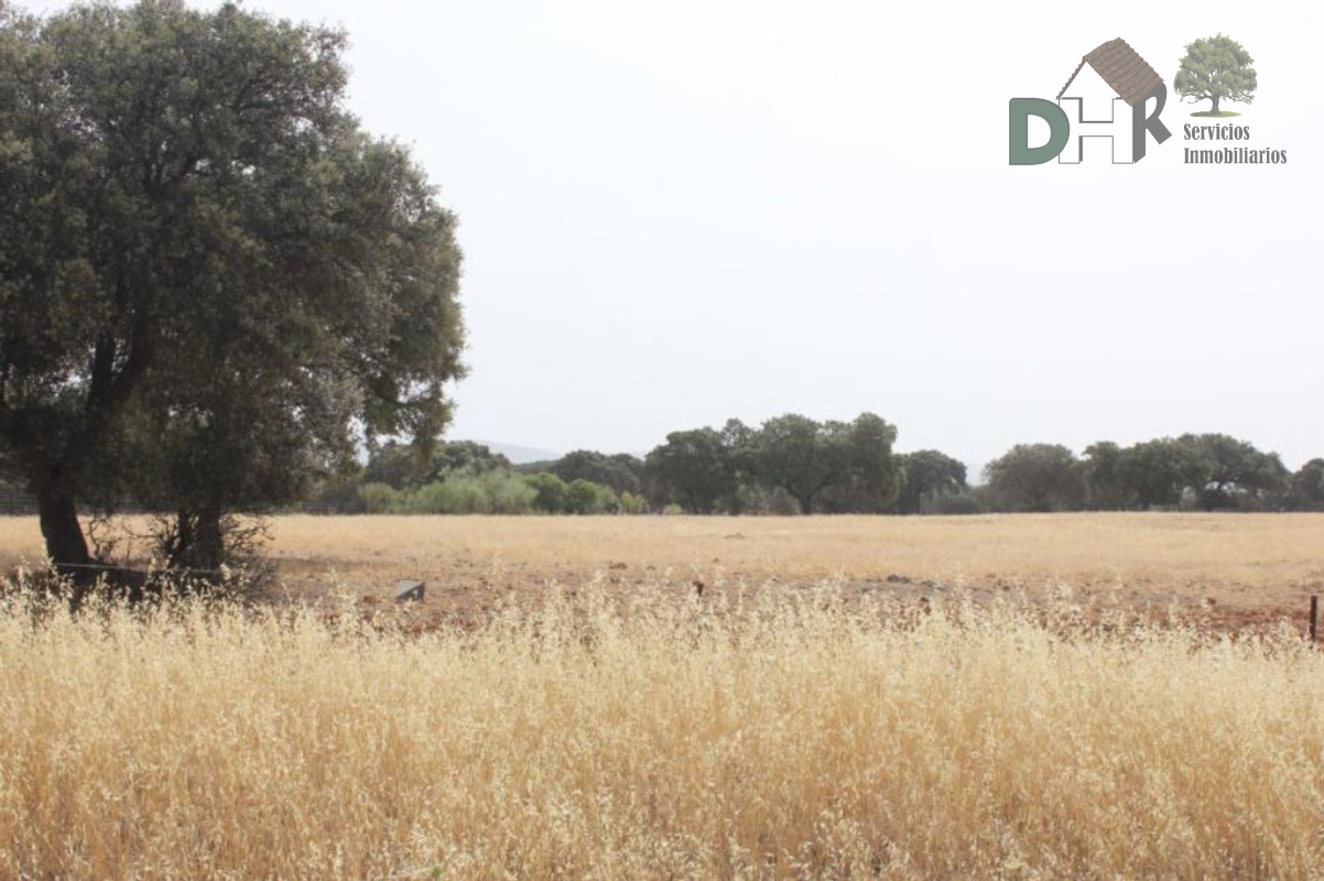 Venta de terreno en Badajoz