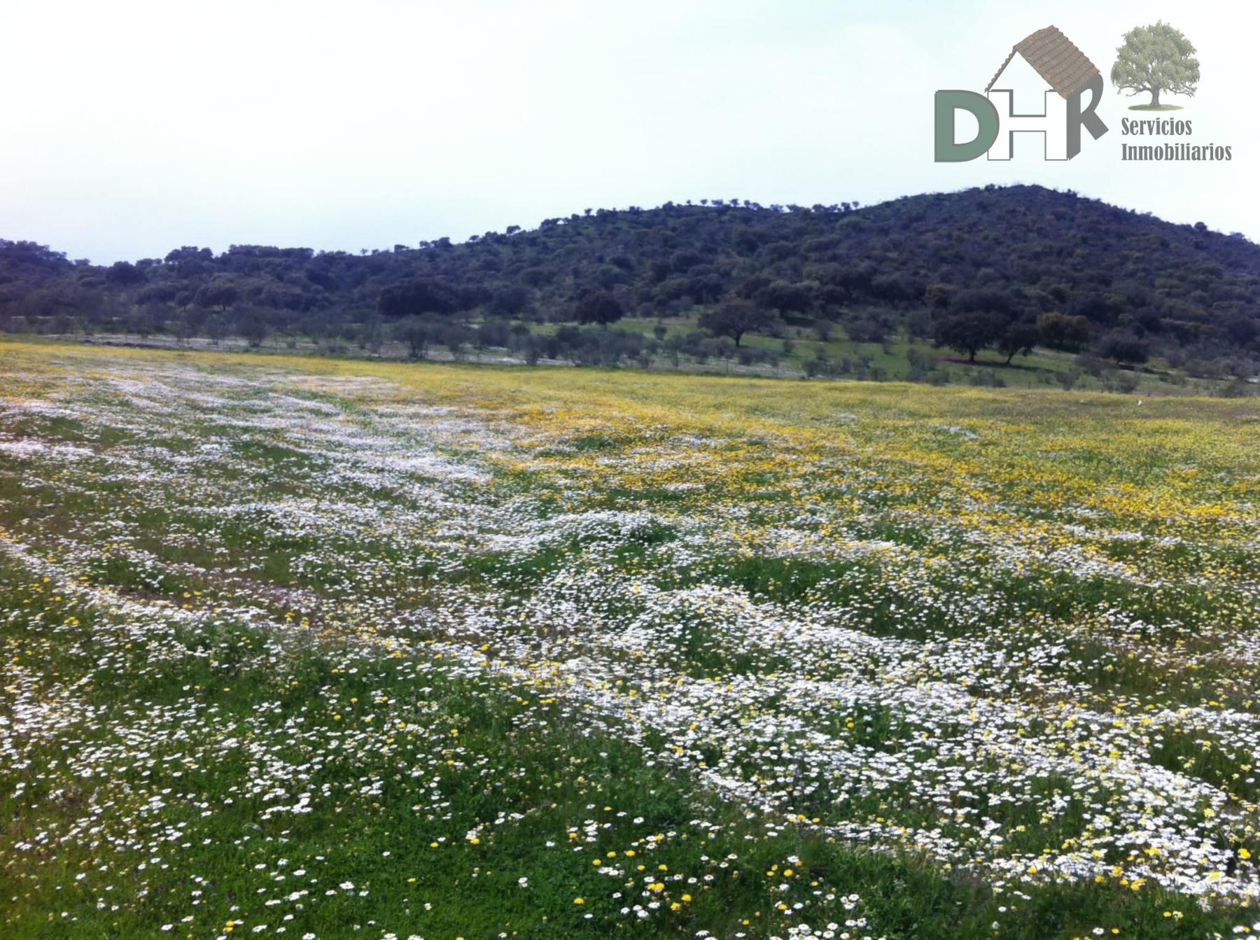 For sale of land in Badajoz