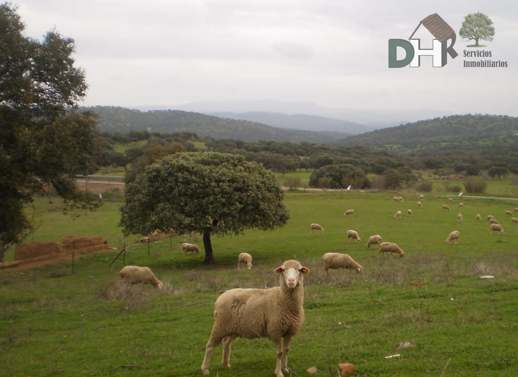 For sale of land in Badajoz
