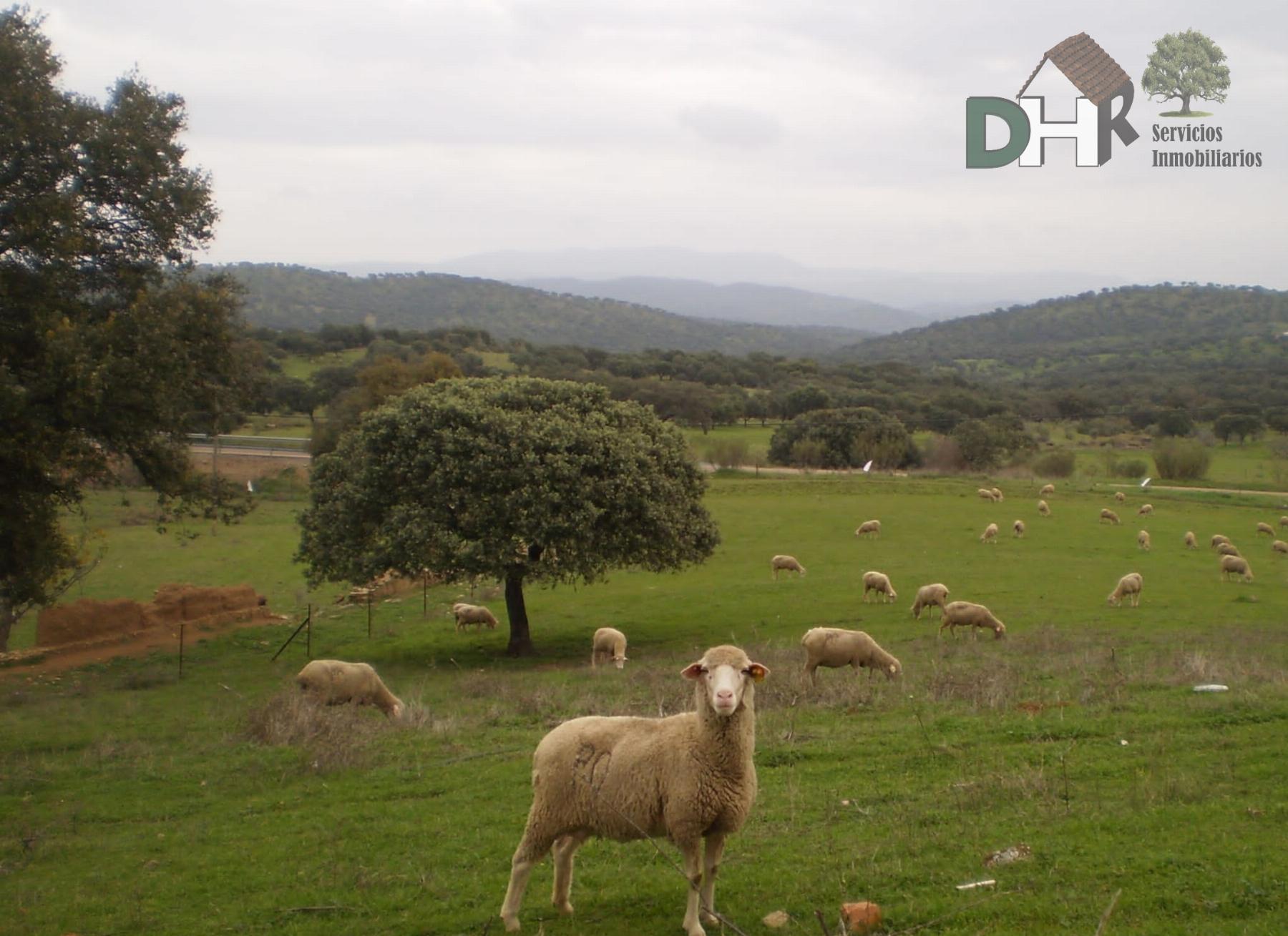 Venta de terreno en Badajoz