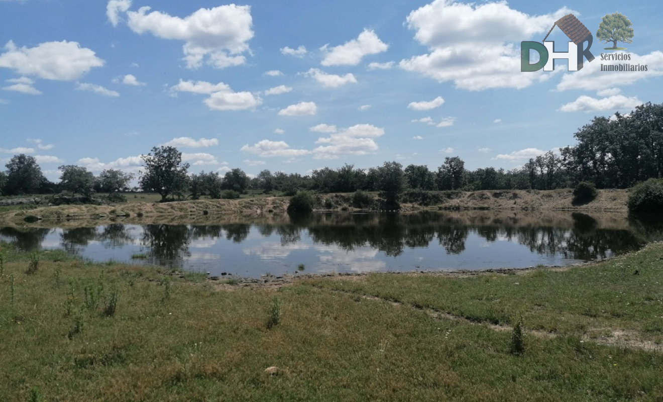 For sale of land in Salamanca