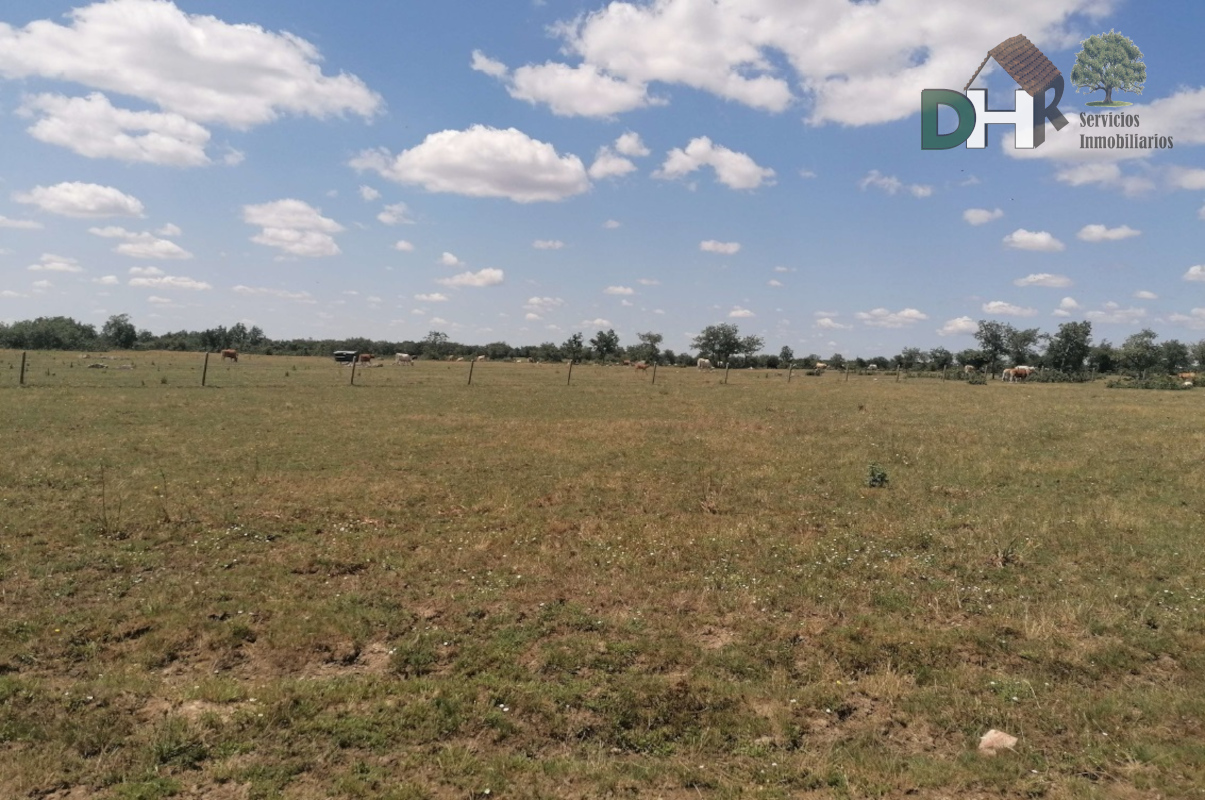 For sale of land in Salamanca