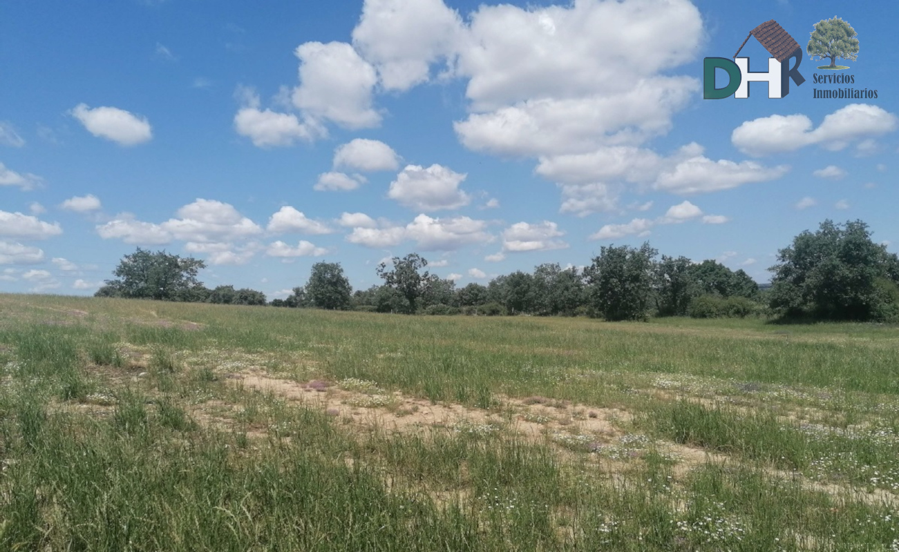 For sale of land in Salamanca
