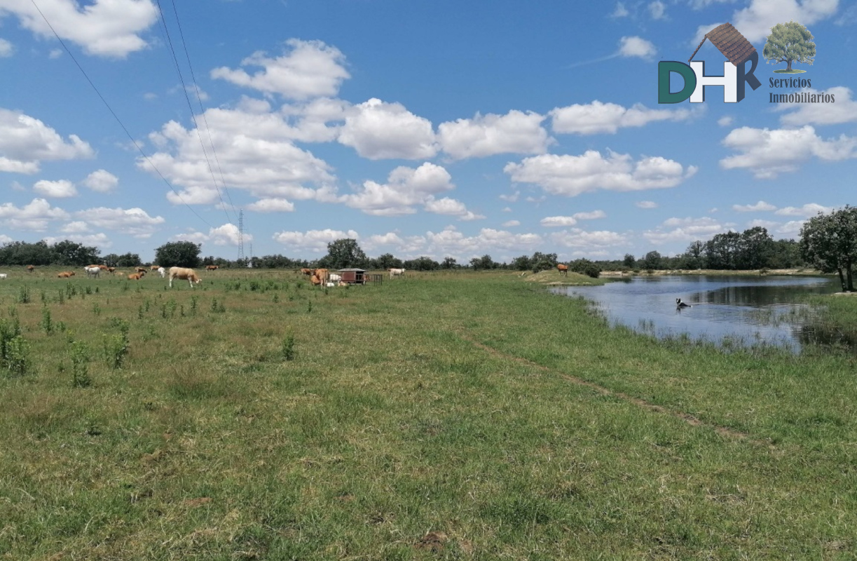 For sale of land in Salamanca