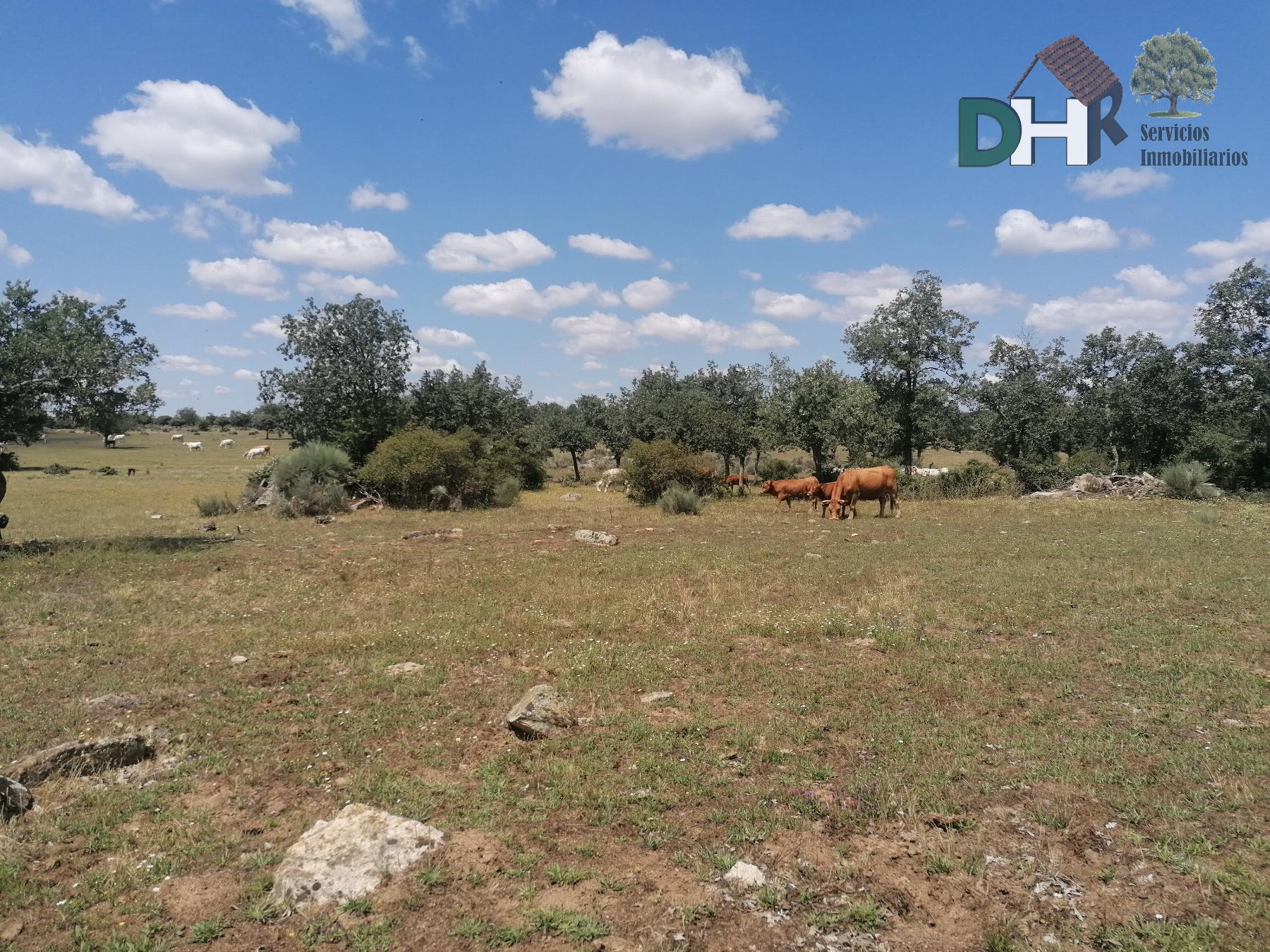 For sale of land in Salamanca