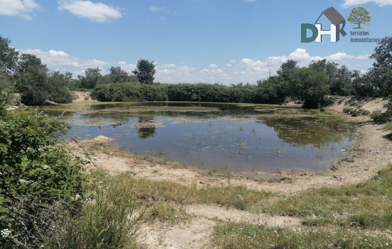 For sale of land in Salamanca
