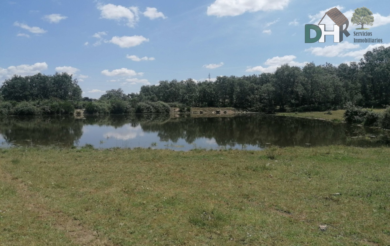 For sale of land in Salamanca