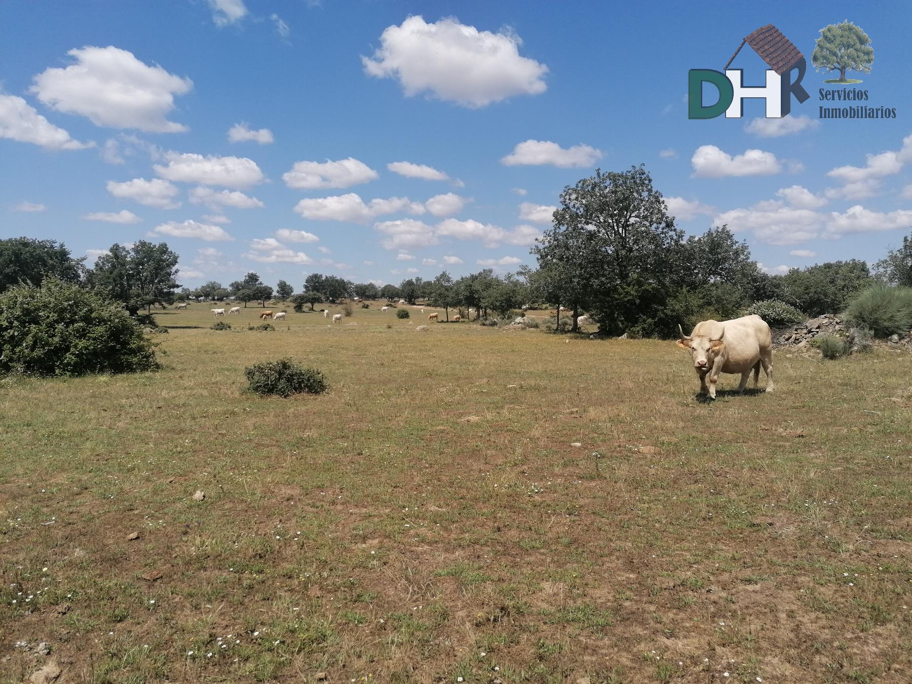 For sale of land in Salamanca