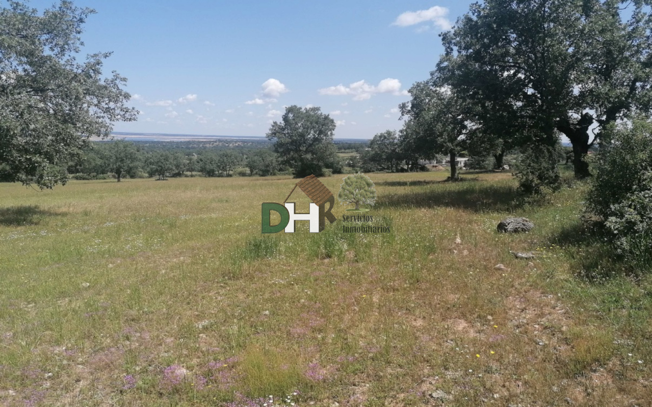 For sale of land in Salamanca