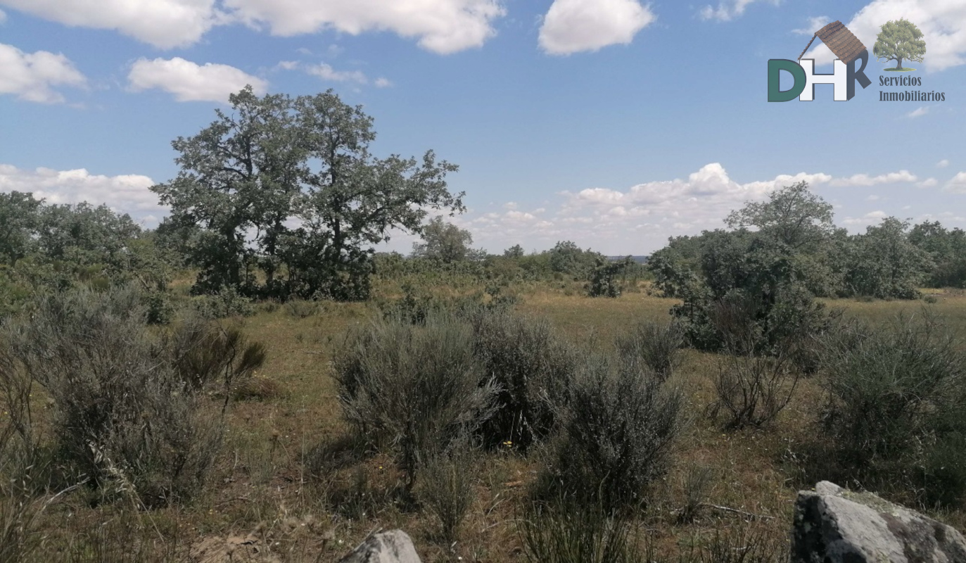 For sale of land in Salamanca