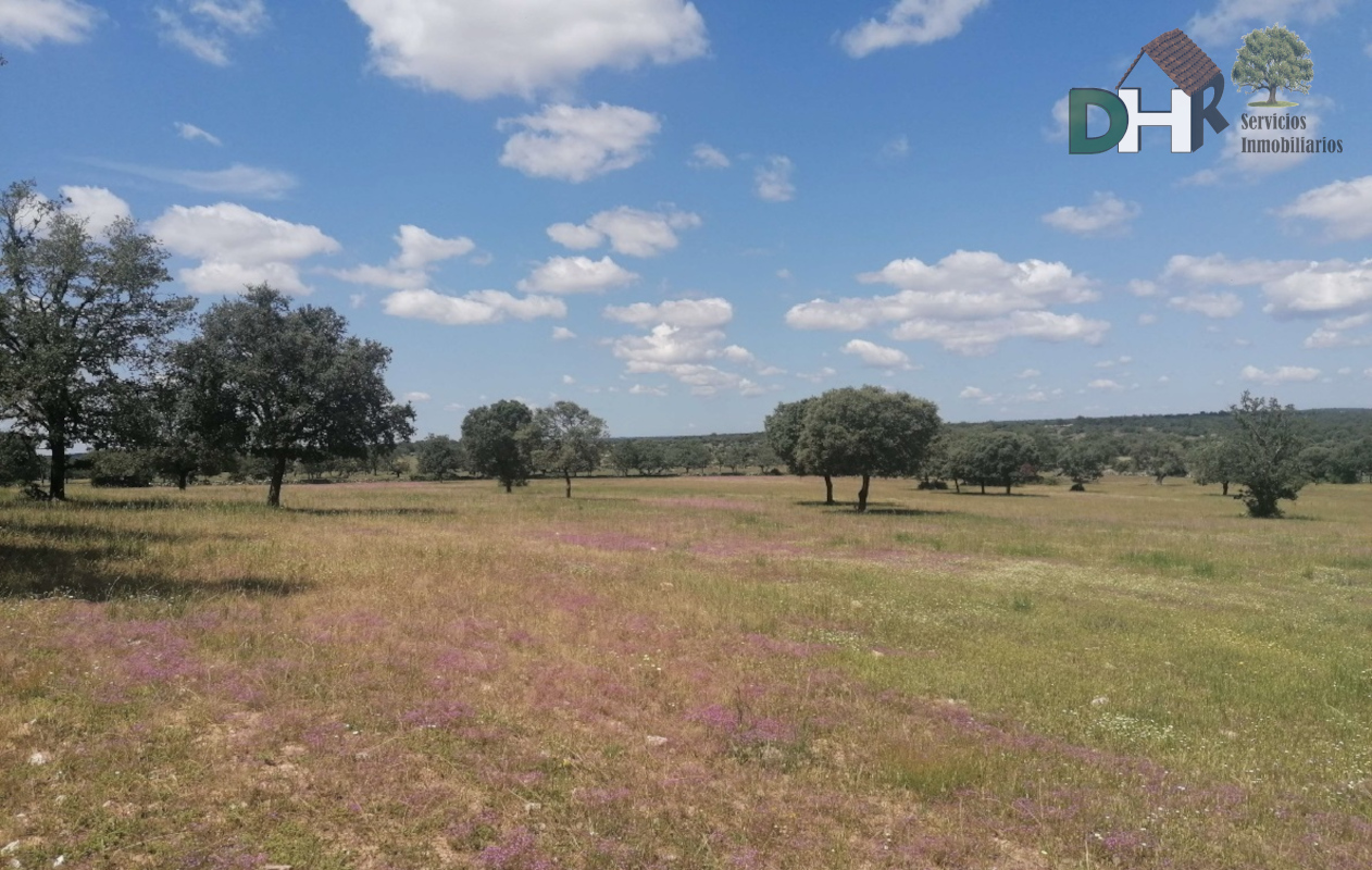 For sale of land in Salamanca