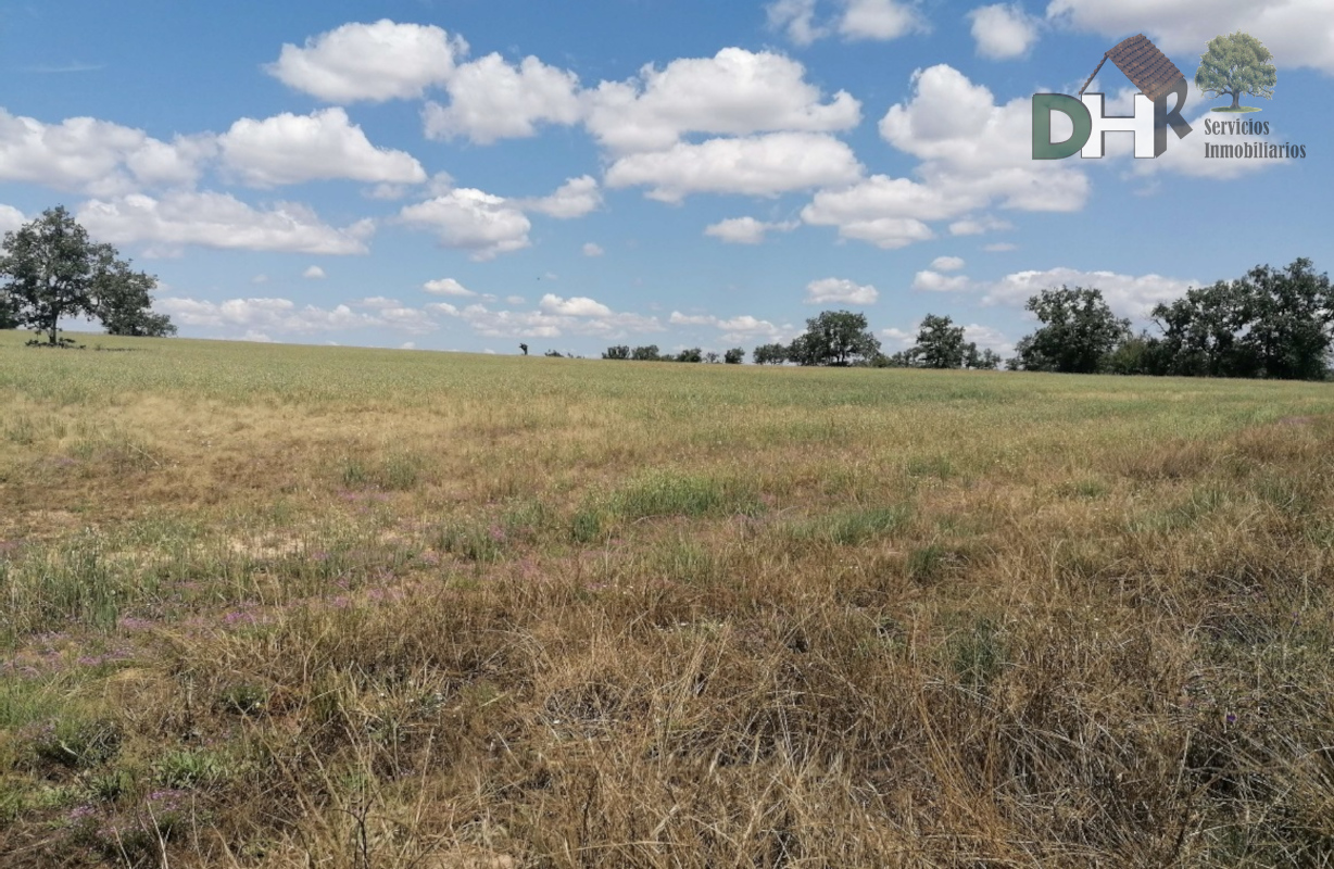 For sale of land in Salamanca