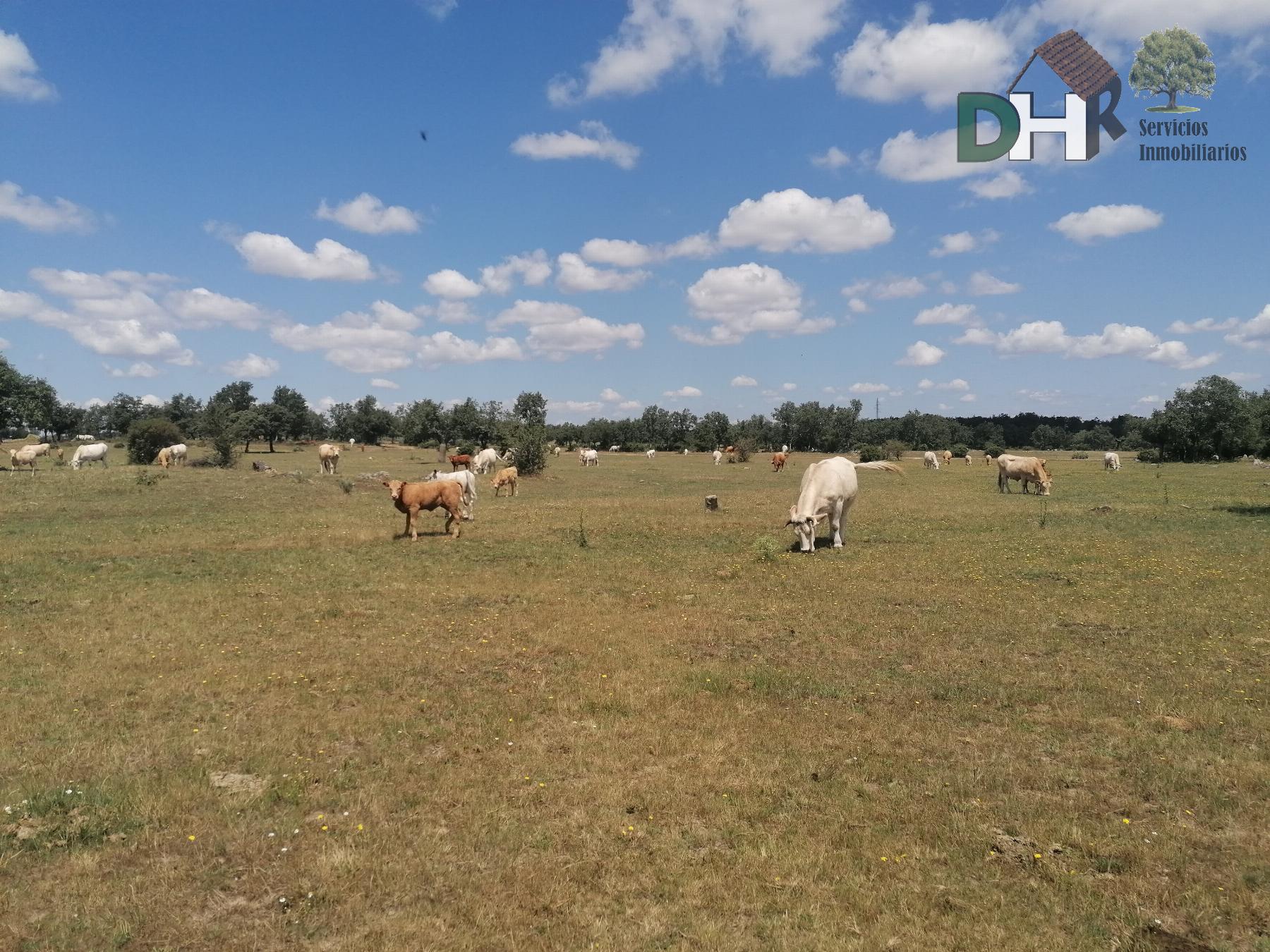 For sale of land in Salamanca