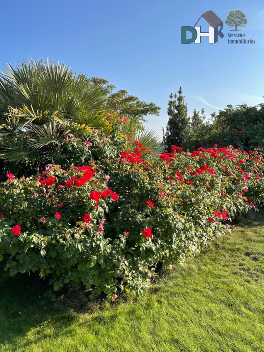 Venta de terreno en Ciudad Real