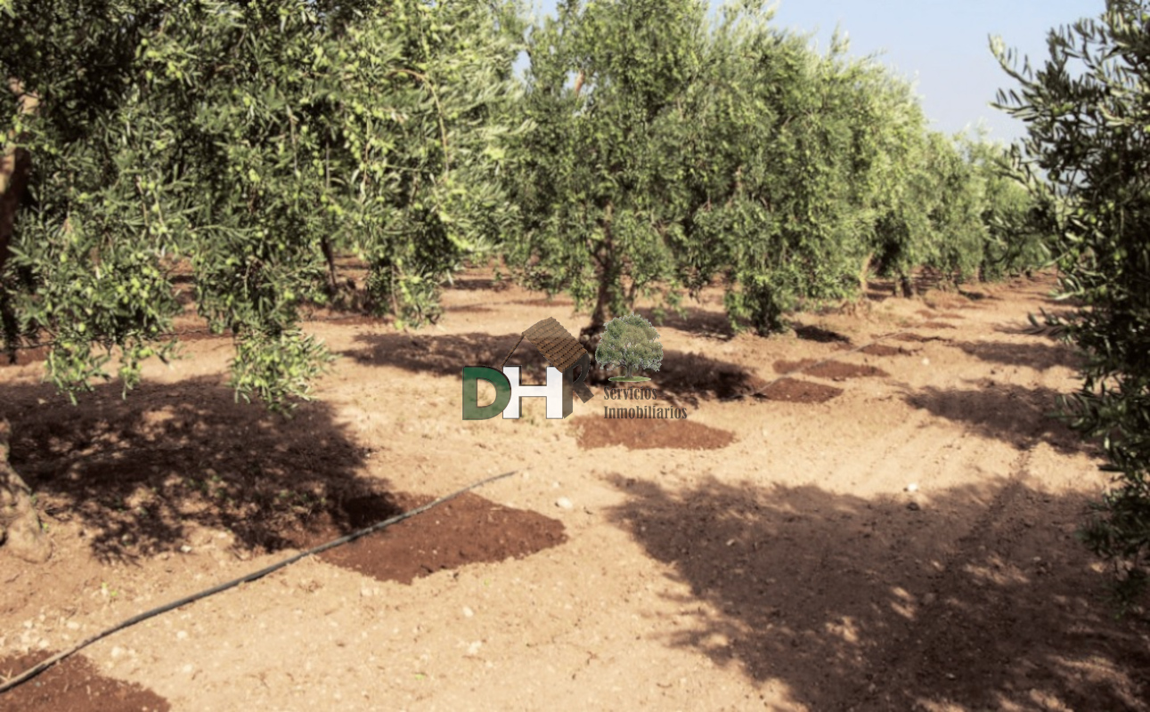 Venta de terreno en Badajoz