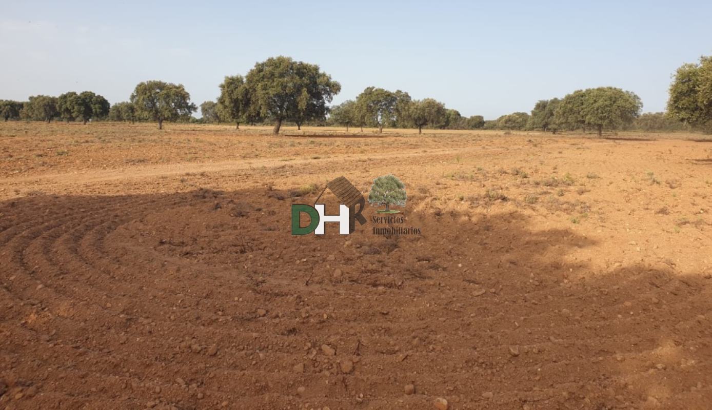 For sale of land in Cáceres