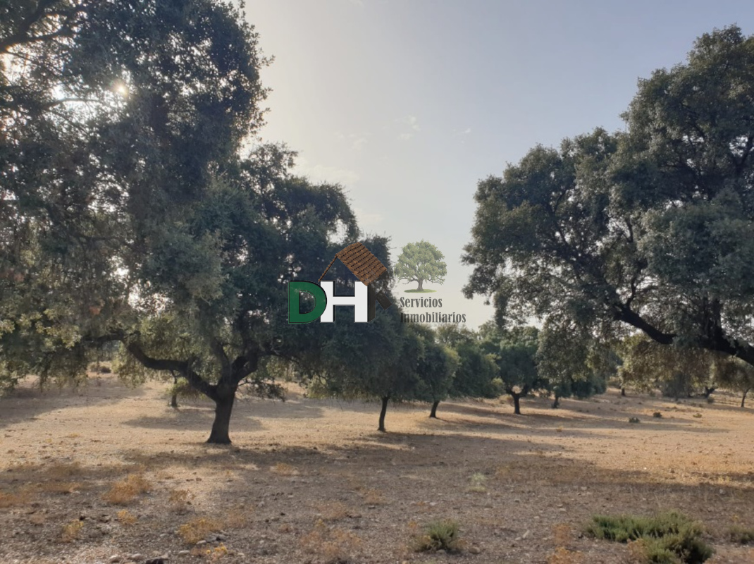 For sale of land in Cáceres