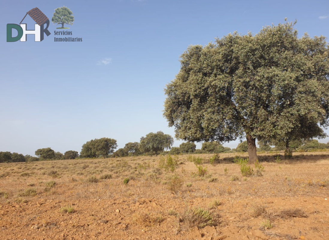 For sale of land in Cáceres