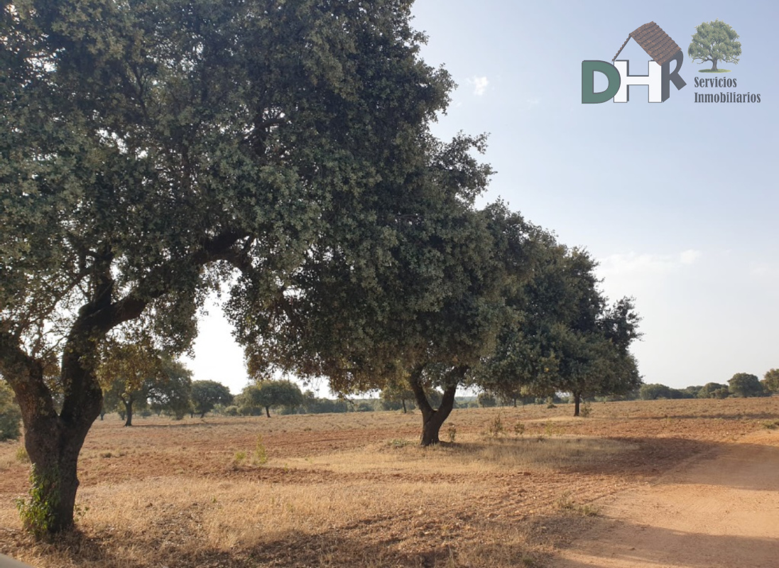 For sale of land in Cáceres