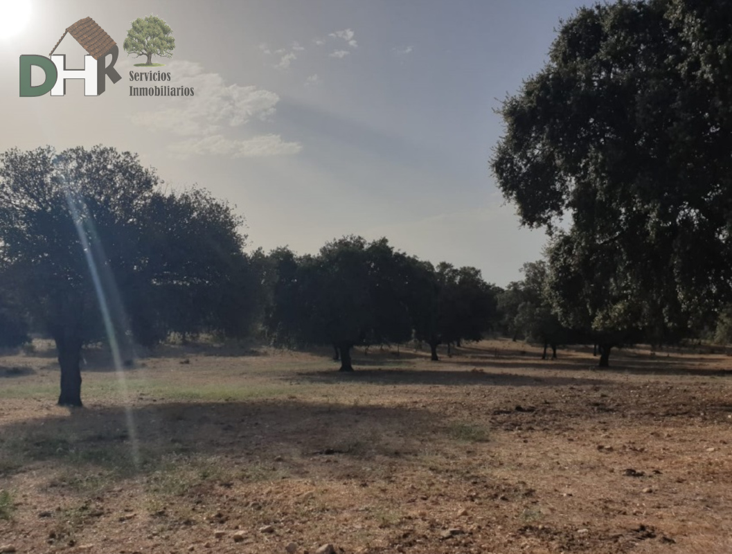 For sale of land in Cáceres