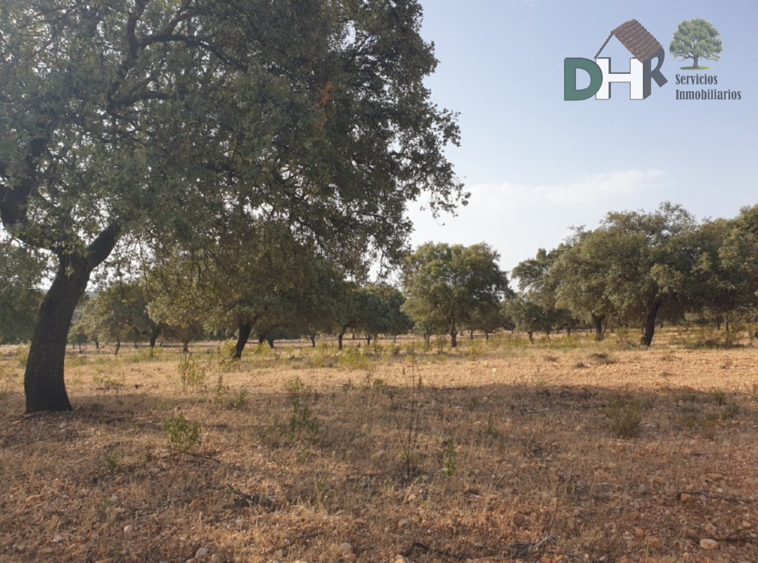 For sale of land in Cáceres