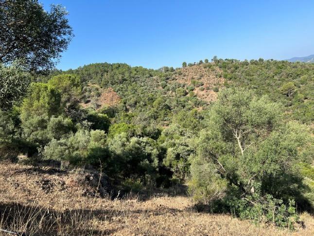 Venta de terreno en Córdoba