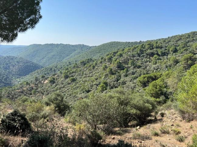 Venta de terreno en Córdoba