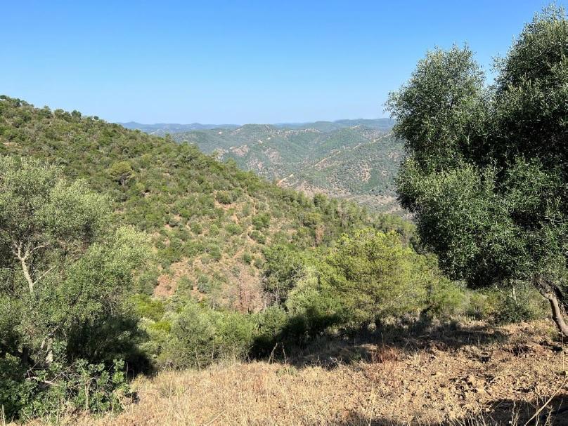 Venta de terreno en Córdoba