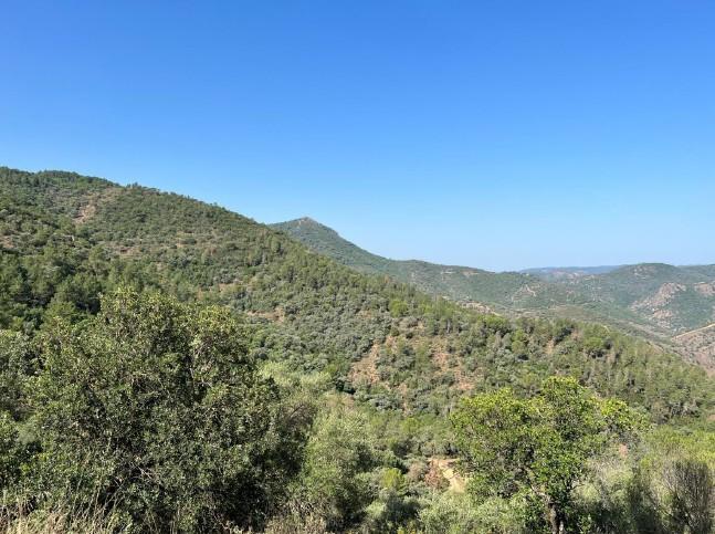 Venta de terreno en Córdoba