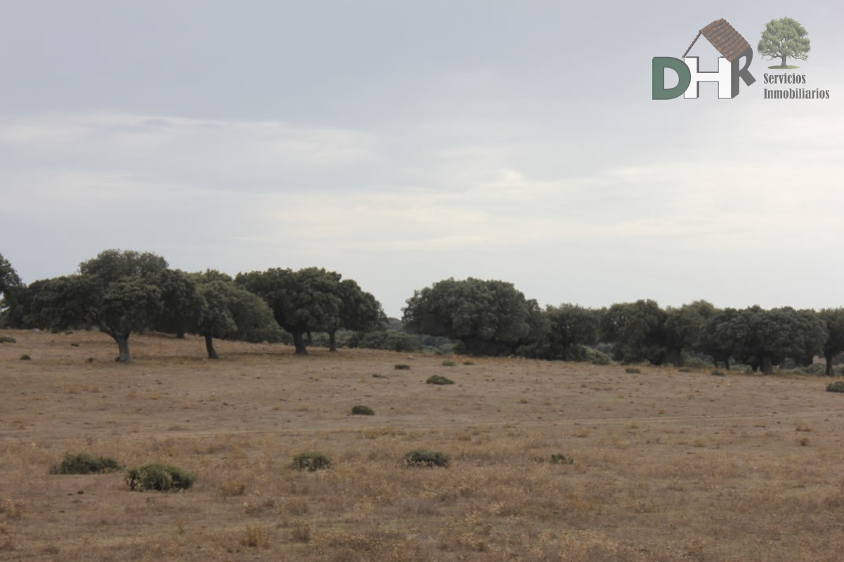 For sale of land in Salamanca