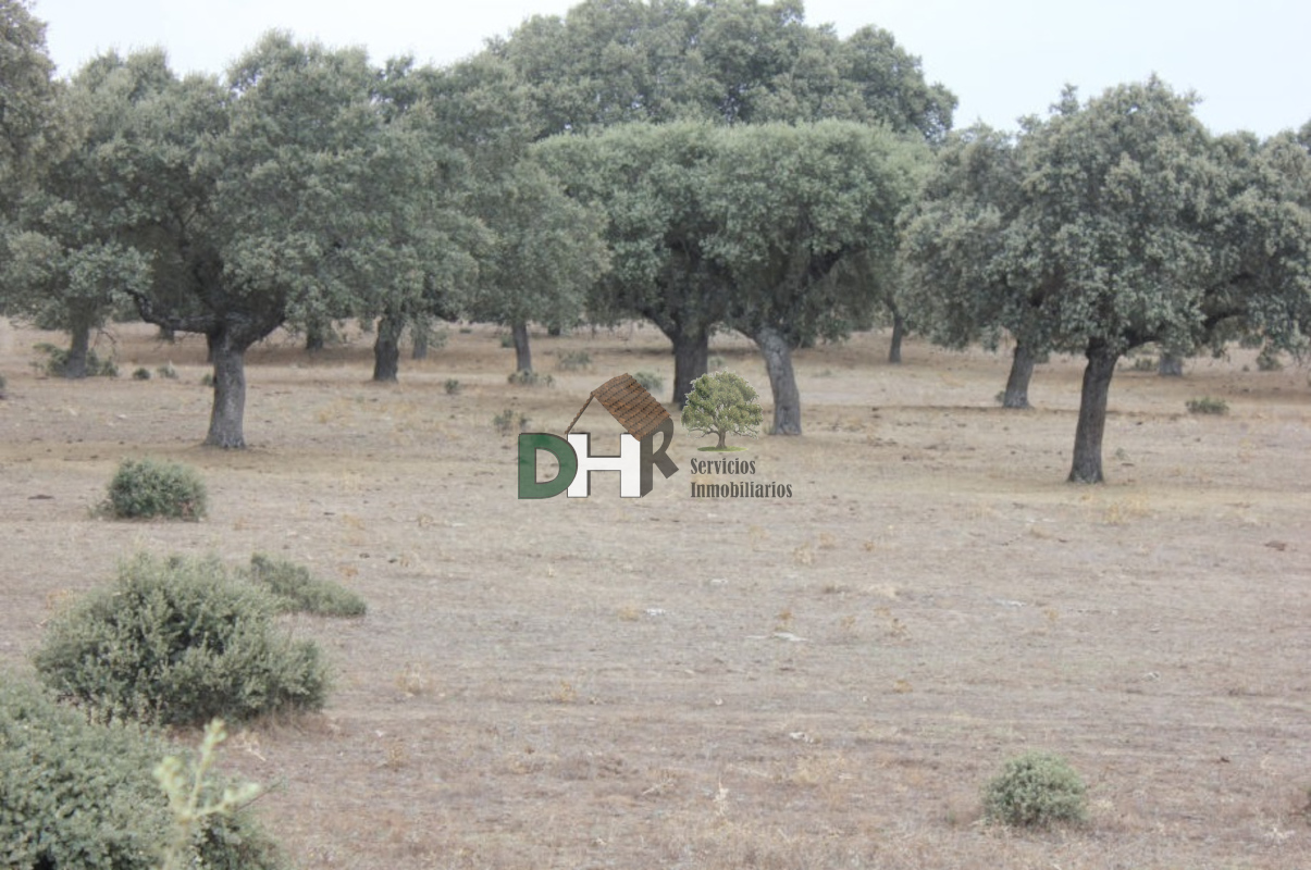 For sale of land in Salamanca
