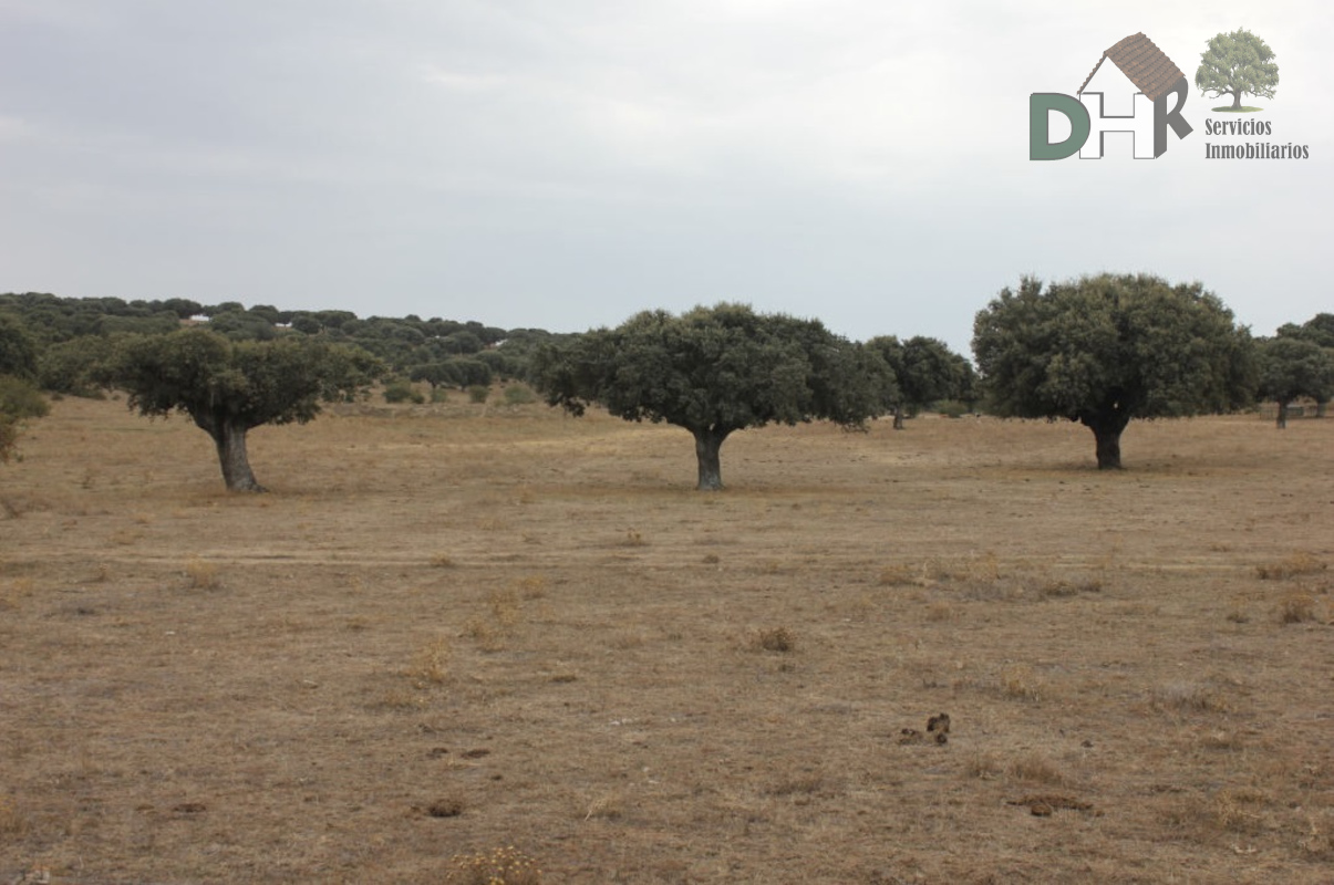 For sale of land in Salamanca