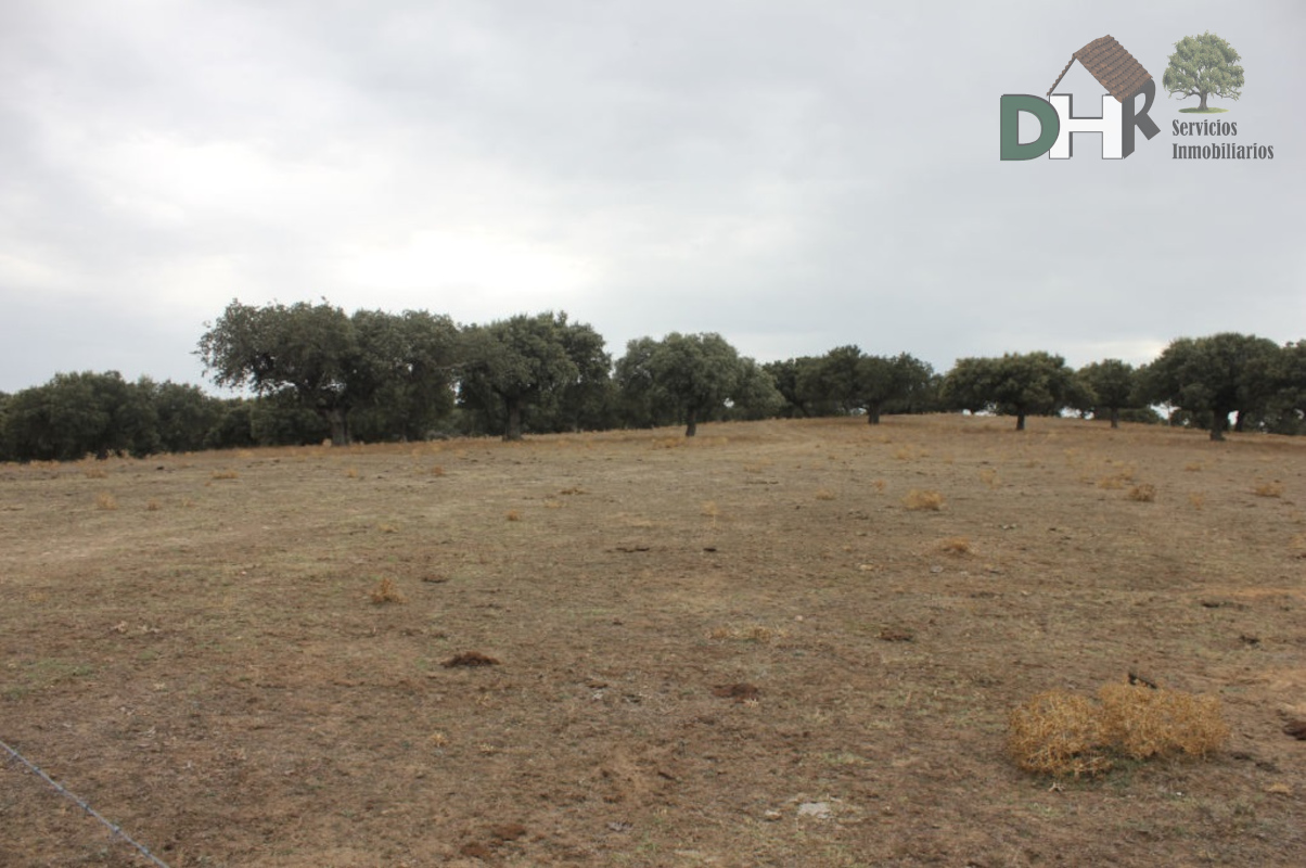 For sale of land in Salamanca
