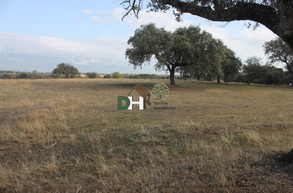 Venta de terreno en Cáceres