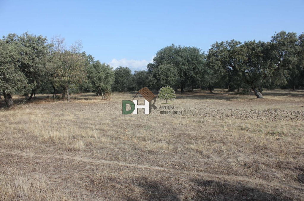 Venta de terreno en Cáceres