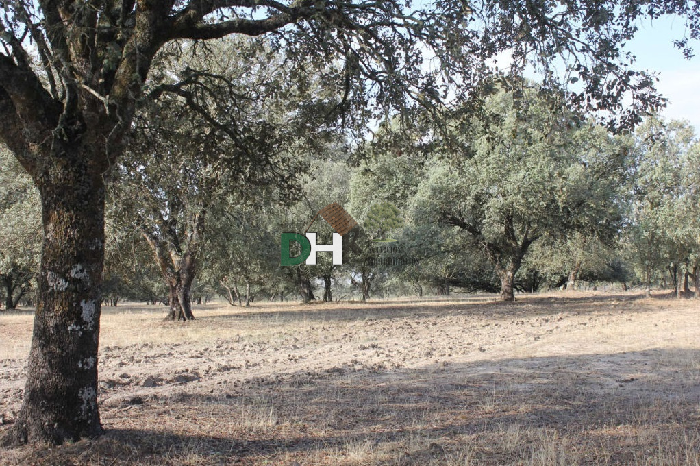 For sale of land in Cáceres