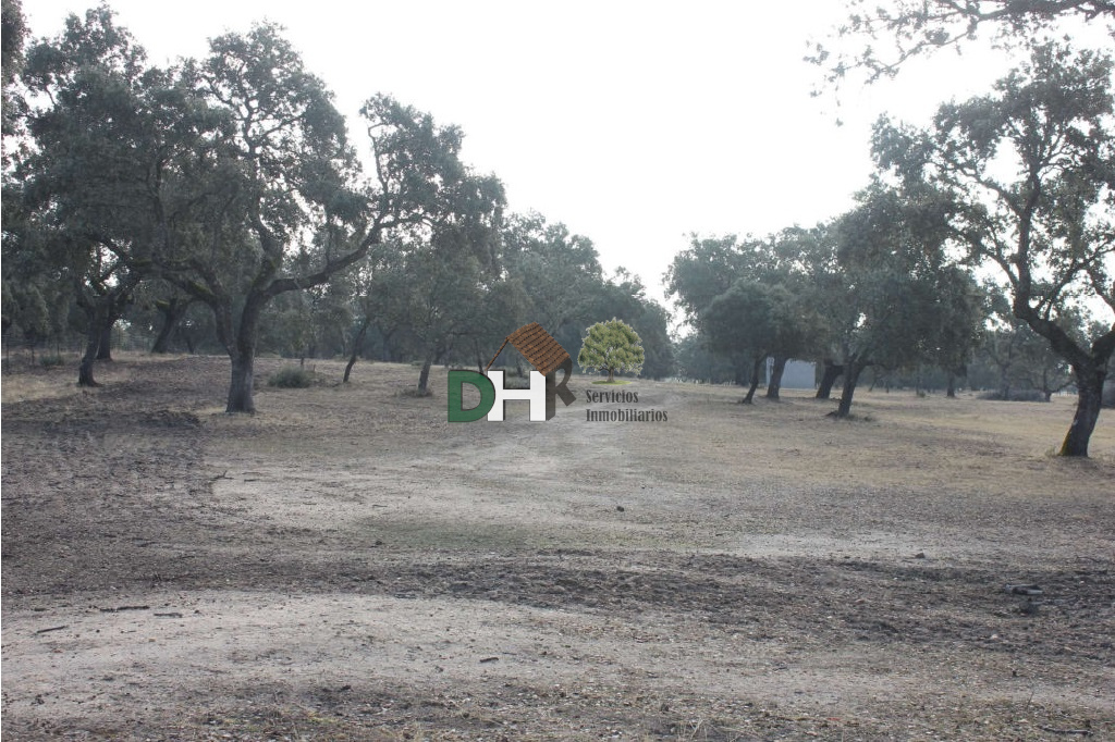 Venta de terreno en Cáceres