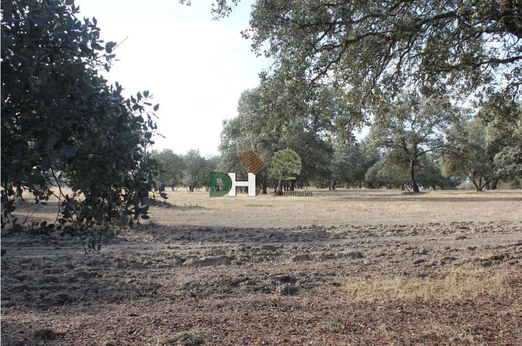 Venta de terreno en Cáceres